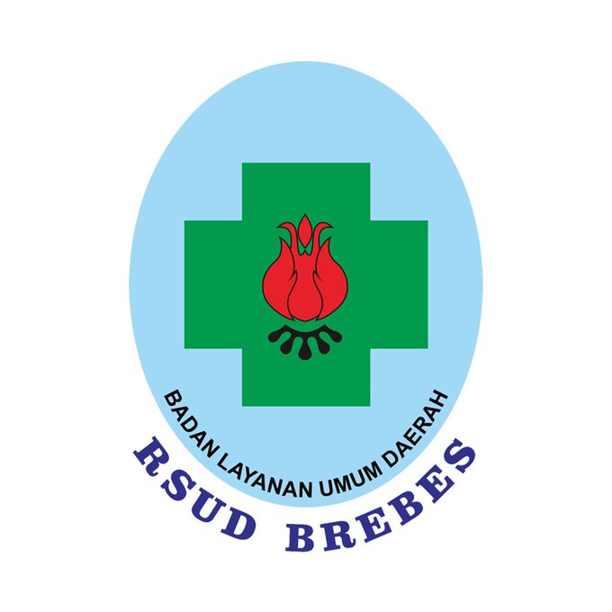 Logo RSUD